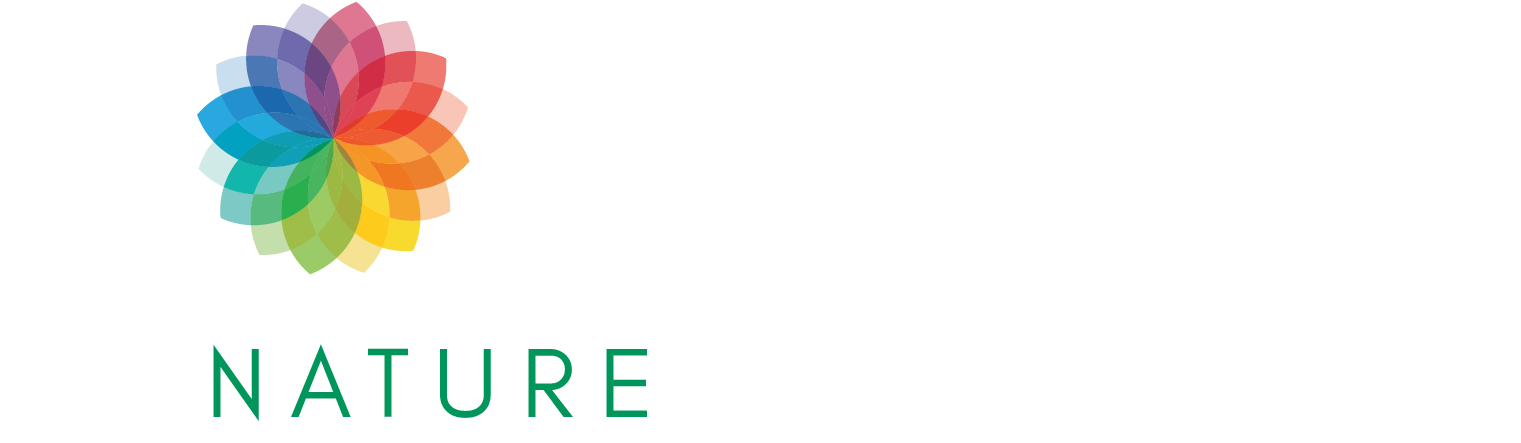Holistic Logo