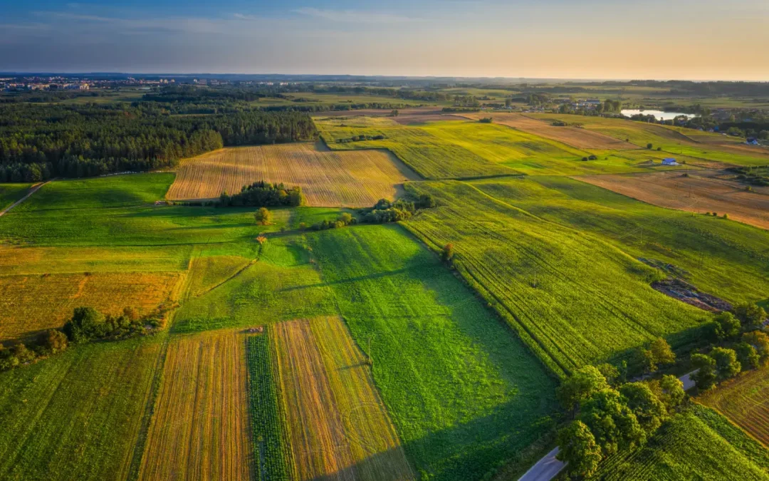 Beyond Land: How Agricultural Plots Can Help Build Generational Wealth