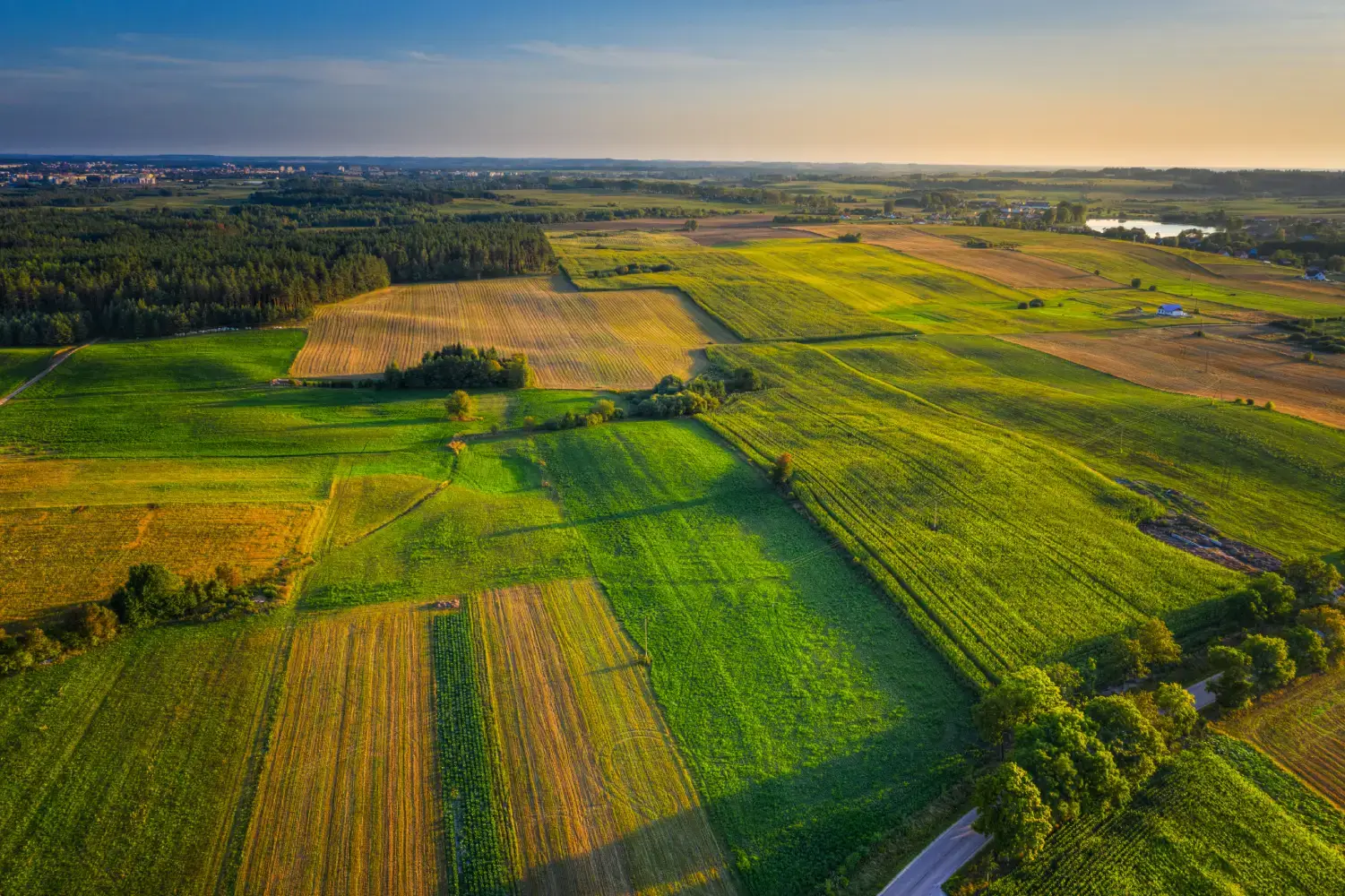 Agricultural plots